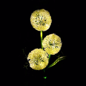 Rebel decorative solar garden lights, ornamental allium