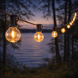 Forever Light Solar LED girlianda SUNARI FLS-180 8.5m 10+1 skaidrios lemputės 1800mAh + RC