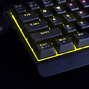 "Wozinsky" WKGP-1165 mechaninė žaidimų klaviatūra su RGB apšvietimu - juoda