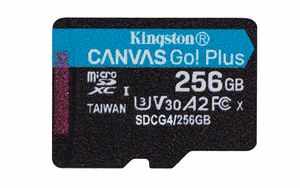 Kingston Technology Canvas Go! Plus 256 GB MicroSD UHS-I Klasės 10