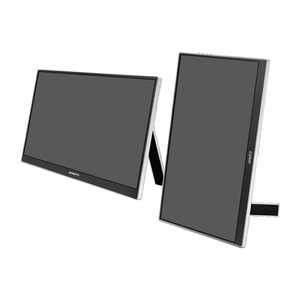 ANMITE A160W04H 16" Portable Monitor