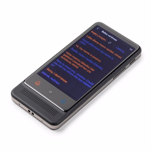 Умный переводчик Reach M12