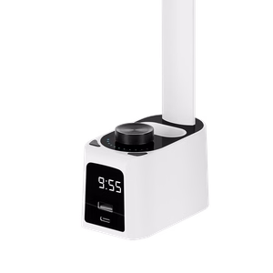 Desk lamp with clock