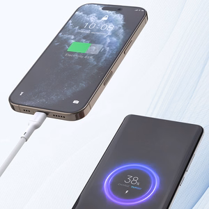 Dudao L9C 65W Кабель USB-C - USB-C 2м - белый