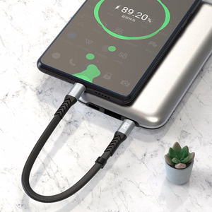USB кабель Dudao (L10C) "USB-C (Type-C) - USB-C (Type-C)" (100W 5A) серый 0.23M