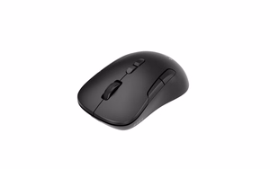 Gembird MUSW2-7B-01 Dviejų režimų belaidė pelė (2.4G + BT), 1600 DPI, 7 mygtukų, juoda