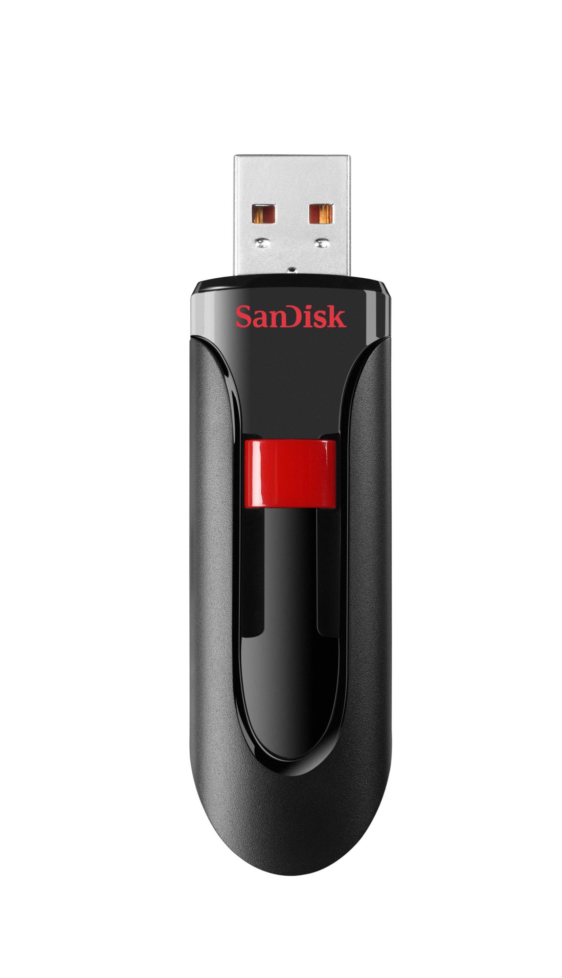 USB флеш-накопитель 256 ГБ USB 2.0 SanDisk SDCZ60-256G-B35