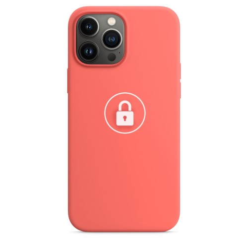 Telefono dėklas Silicone Case skirtas Apple iPhone 13 Pro / Pink Pomelo / pakuotėje