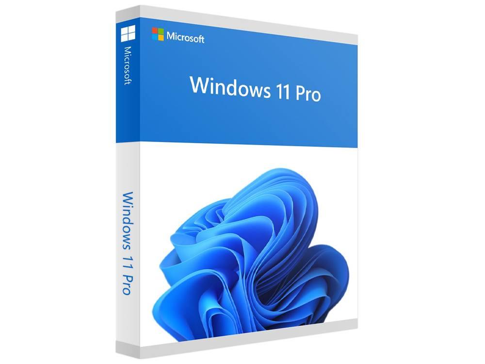 Microsoft Windows 11 Pro FPP 64-bit USB mažmeninė