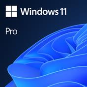 Microsoft Windows 11 Pro 64-bit OEM DVD anglų k.
