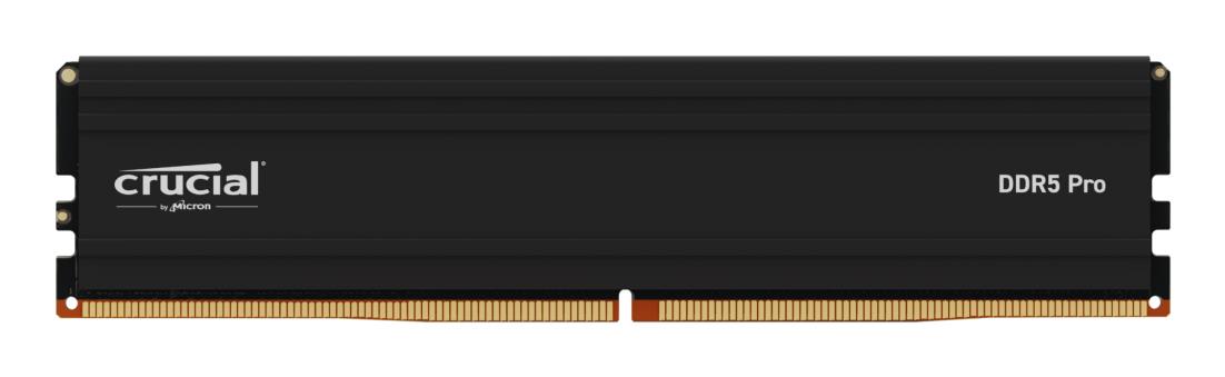 Atmintis DIMM Pro 48GB DDR5-5600/CP48G56C46U5T Crucial