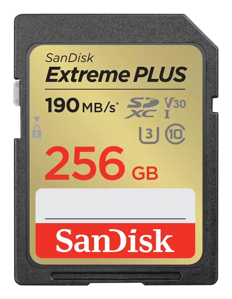SanDisk Memory SDXC 256GB UHS-1 SDSDXWV-256G-GNCIN