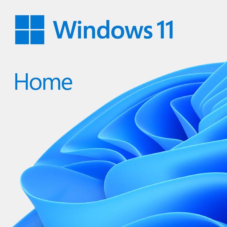 Microsoft Windows 11 Home 64-bit OEM DVD anglų k.