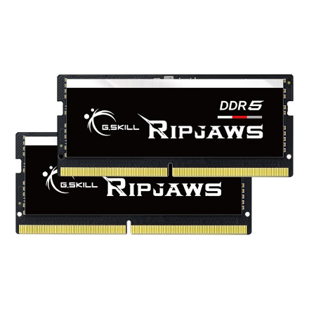 G.Skill Ripjaws 32 GB DDR5 5600 MHz PC/server Registered No ECC No