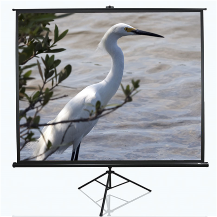 Elite Screens Tripod Series T100UWV1 Diagonal 100 " 4:3 Viewable screen width (W) 203 cm Black