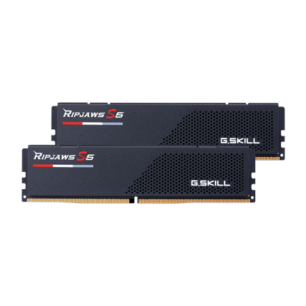 G.Skill Ripjaws S5 32 GB DDR5 5600 MHz PC/server Registered No ECC No