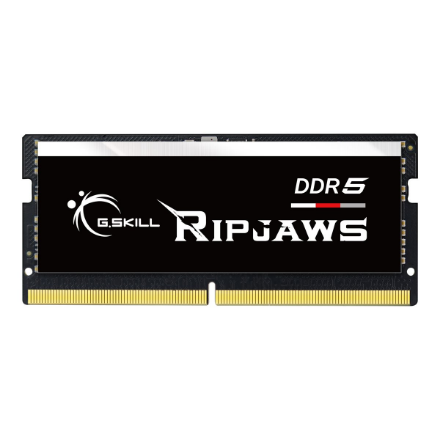 G.Skill Ripjaws 16 GB DDR5 5600 MHz PC/server Registered No ECC No