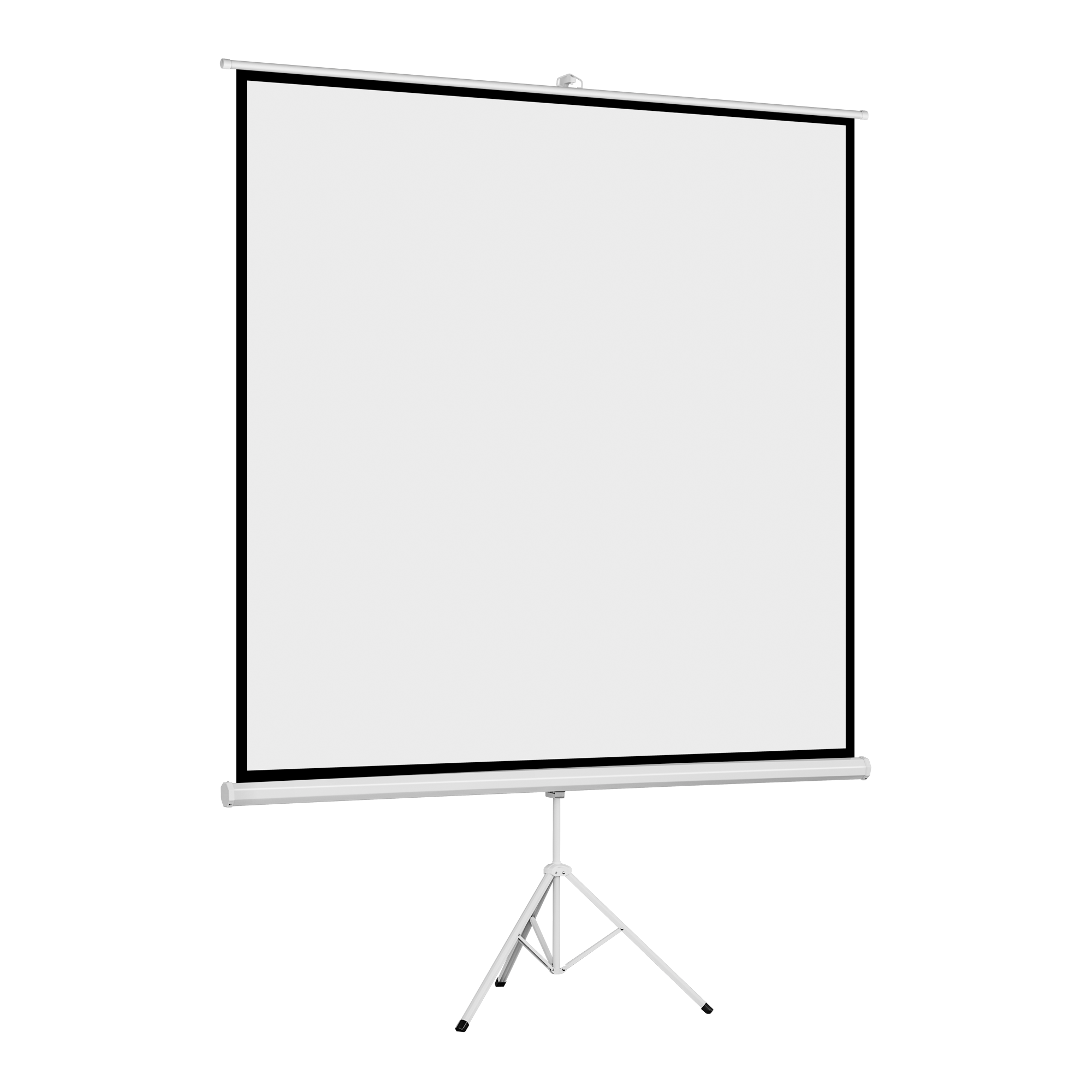 Cabletech pastatomas projekcinis ekranas, 200 x 200 cm, 100 colių