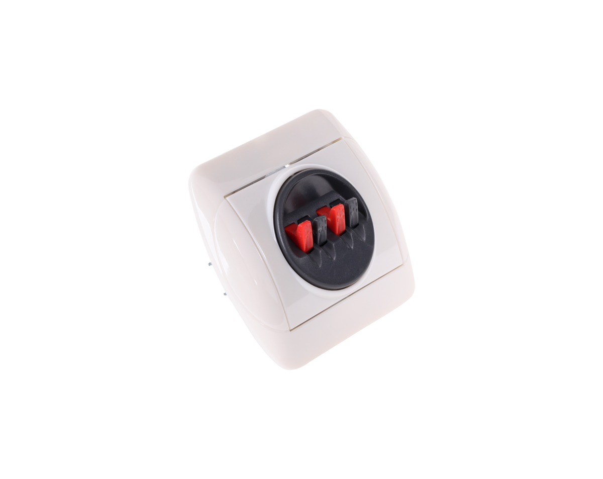 Flush-mounted speaker wall socket