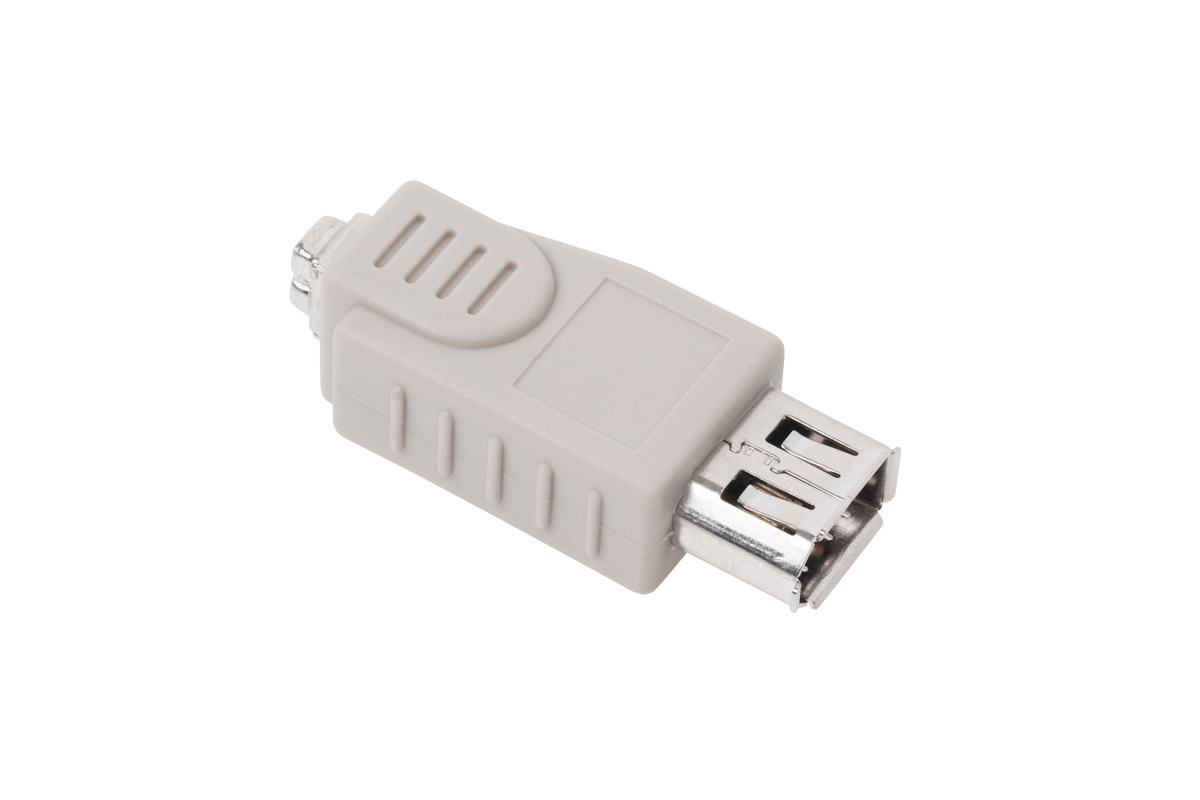 IEE 1394 adapteris, 6P lizdas į 4P lizdą
